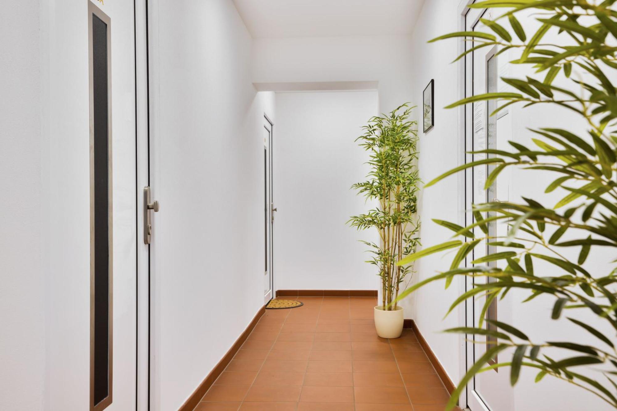 Apartmany Decin Eksteriør billede